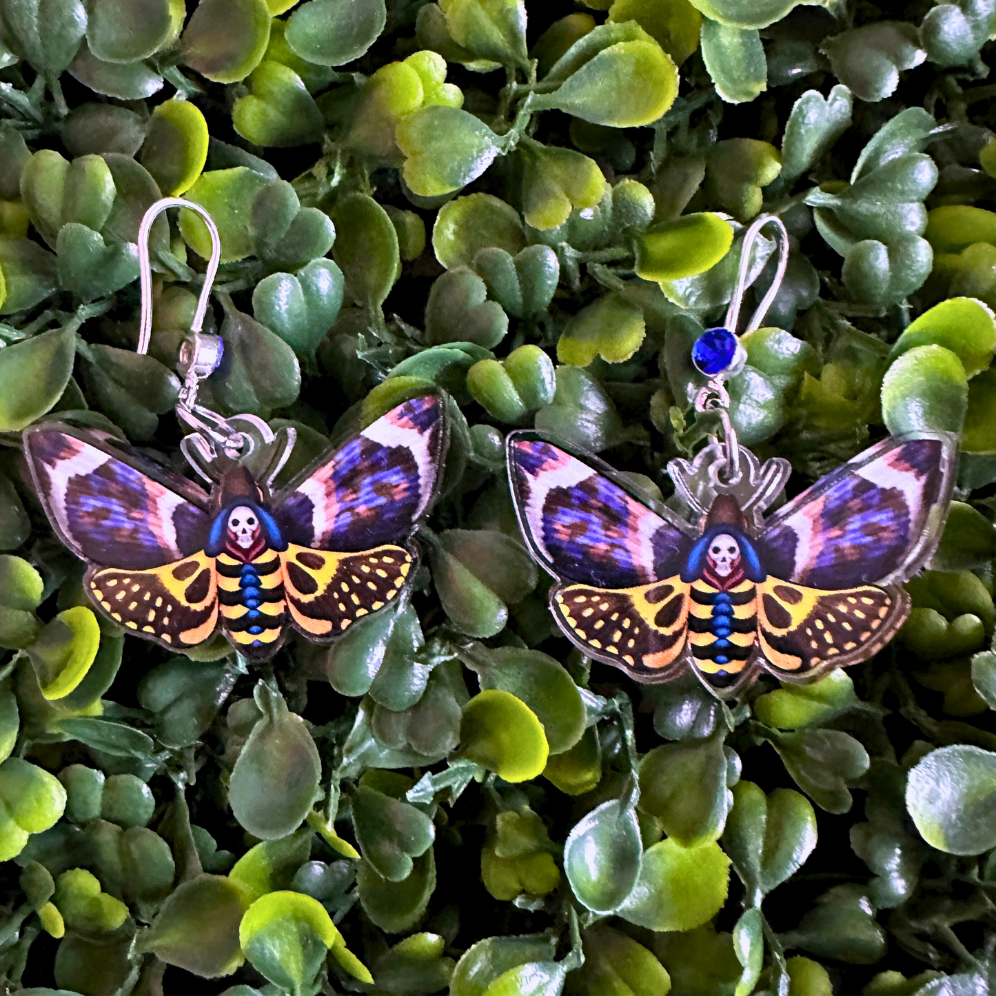 Death's-Head Hawk Moth - Hook Earrings