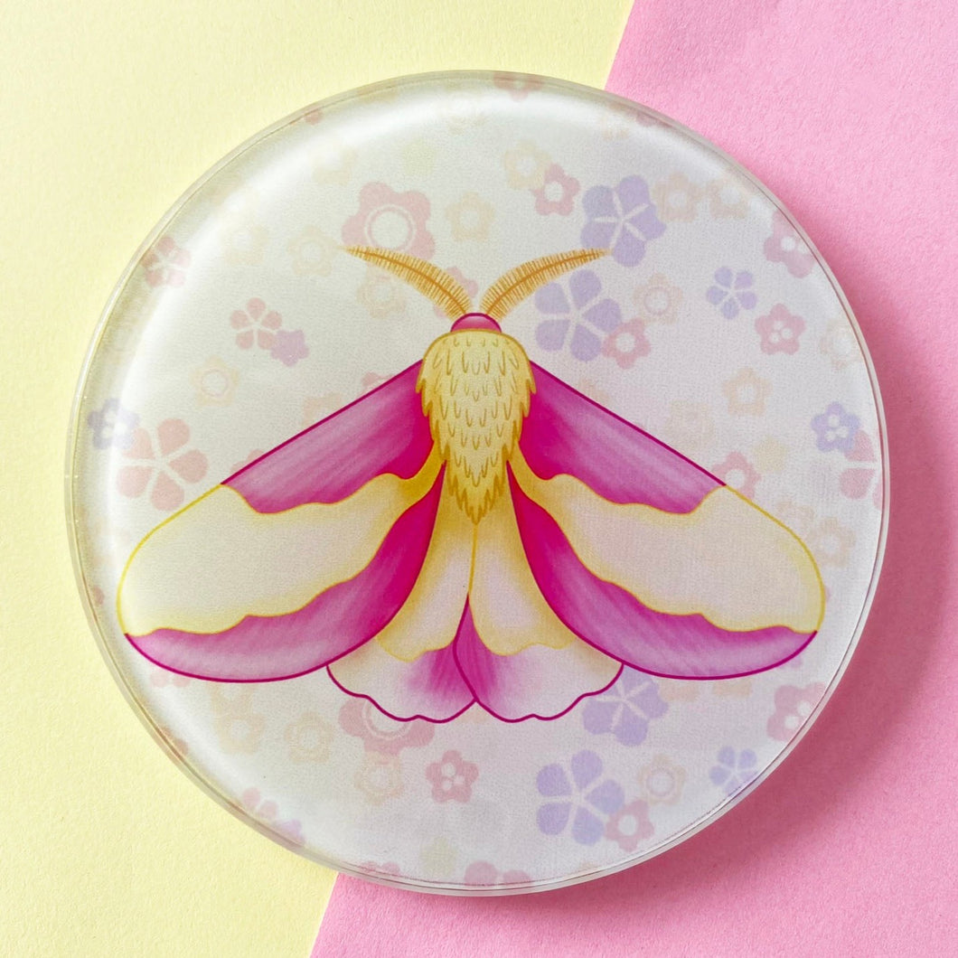 Rosy Maple Moth - Glass Coaster