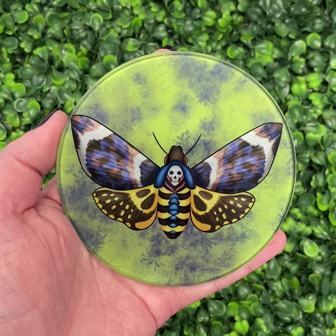 Death s Head Moth Glass Coaster