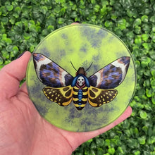 Load and play video in Gallery viewer, Death&#39;s-Head Moth - Glass Coaster
